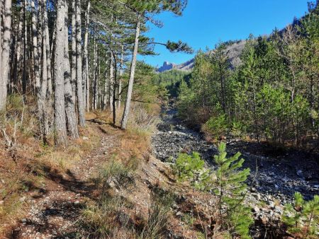 Le long du ravin de Givaudan