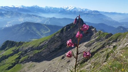 Cliché, mais obligé de le faire