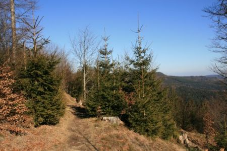 Le sentier au début de cette randonnéee