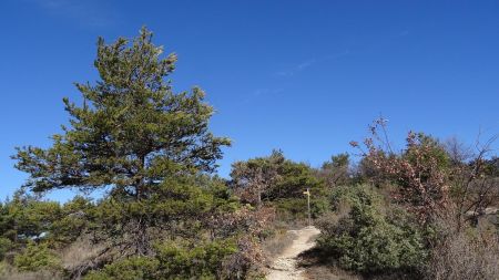 Col du Roux.