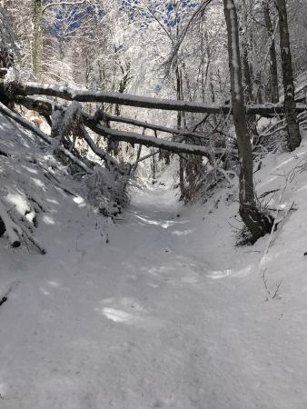 On monte toujours