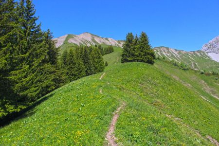 Au Col du Drison, le chemin menant à la Pointe de Chaurionde