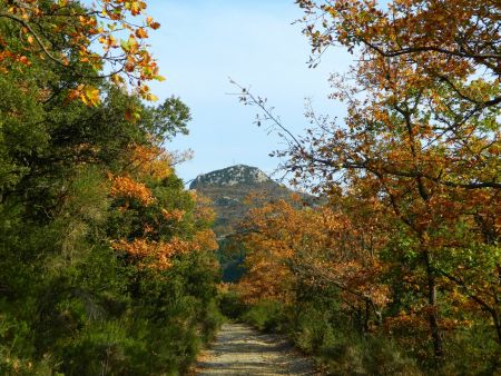 ...on se rapprochera du Mont SaintAmand.