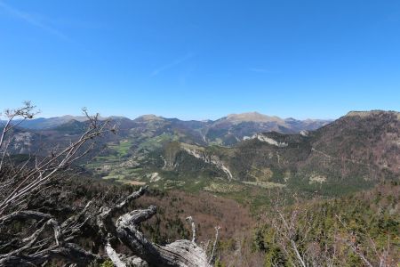 Grosse trouée dans la forêt à la montée hors sentier. Avec Quigouret et Toussière.