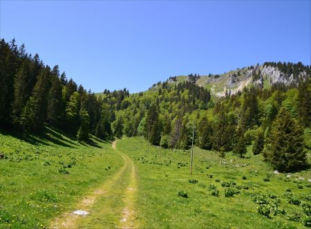 Le goudron laisse place au sentier.