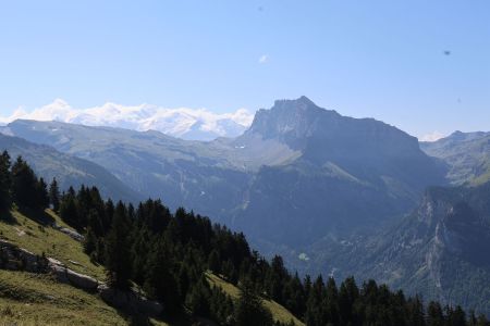 au sommet de la Dent de Verreu