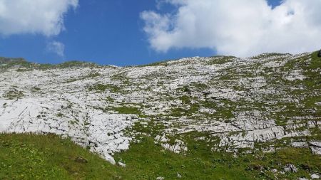 Le type de terrain rencontré à la descente