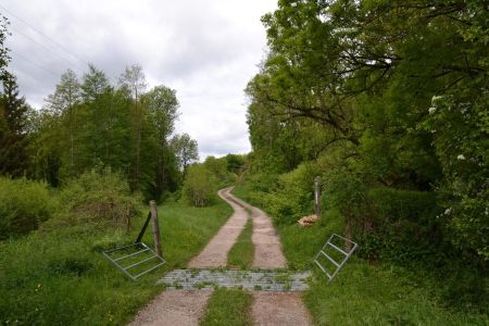 Début du chemin