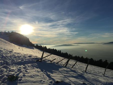 Vue sur les prés