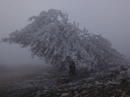 Le vent a imprégné un «flou de bougé» sur le décor.