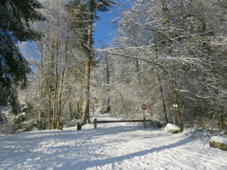 De la neige au sol et sur les branches ; du grand froid ; du grand ciel bleu et du grand soleil. Les conditions parfaites pour en prendre plein les yeux ! 😊