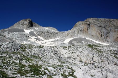 les deux sommets de la molaire