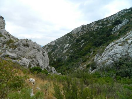 Vallon de descente.