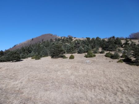 Montée hors sentier vers la crête.