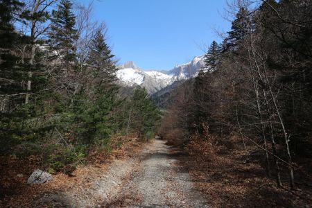 Retour aux Granges des Forêts.