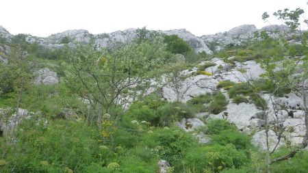 Encore sous les falaises