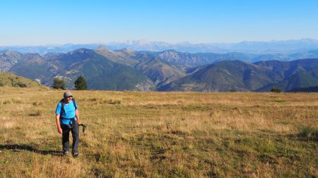 Sur le plateau de la crête de la Colle