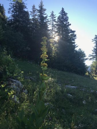 Abords Col de la Sarna