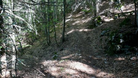 Sur le sentier non balisé sous la face ouest de la Montagne de Belle Motte.