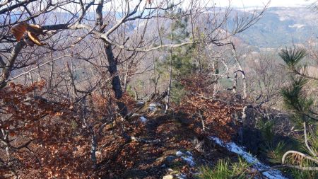 Descente vers Peyre Pras. (senter confidentiel)