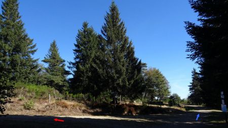 Carrefour, balise Panère 1270m.