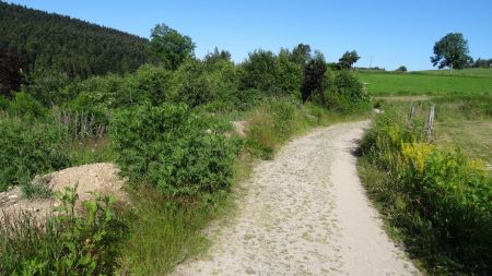 Chemin du «Tour du barrage».