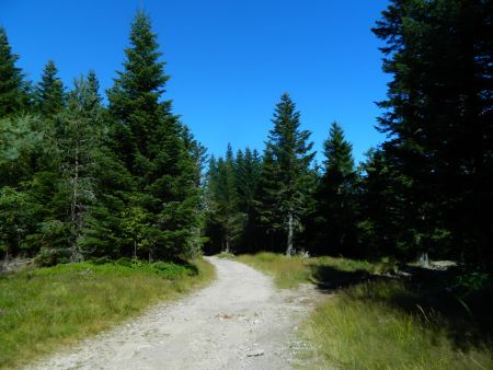 Descente sur le col de la Charousse.