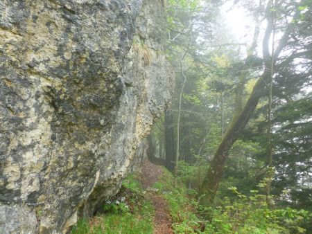 Sur le sentier de la Grande Vie