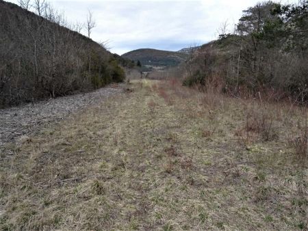 Direction Saint-Julien-en-Beauchêne, la laie taillée marquant la conduite d’éthylène enterrée. Ce n’est pas ce qu’il y a de plus sympathique...