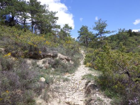 L’ancien PR remonte vers la piste.