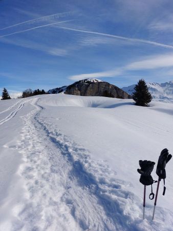 Sur la crète du Lachat vers la Roche du Midi