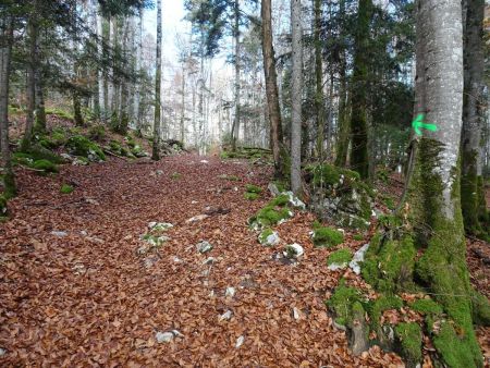 Suivre la flèche verte