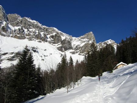 Sur la piste forestière.