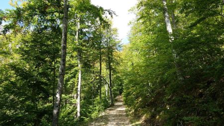 Montée vers le Rocher de la Laveuse.