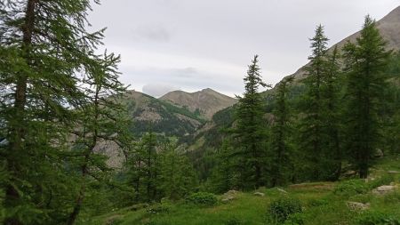 On aperçoit rapidement, au nord-ouest, la tête du Vallonnet