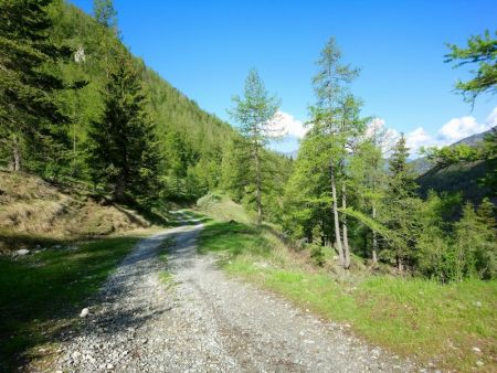 Montée sur la Piste de Tuor