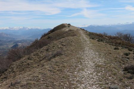 Le sommet ’est’ de la Montagne de Chabre.