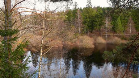 Au bord du Schwarzenbach (lac).