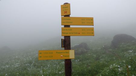 Presset. Il faudrait bientôt quitter le chemin, en prenant à gauche vers le sud. Mais je vais rater le chemin et pousser jusqu’à Conchette ...