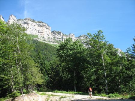 Les Rochers de Bellefont vus de la Source du Sanglier (près de...)