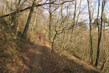 Direction «La Font du Loup»