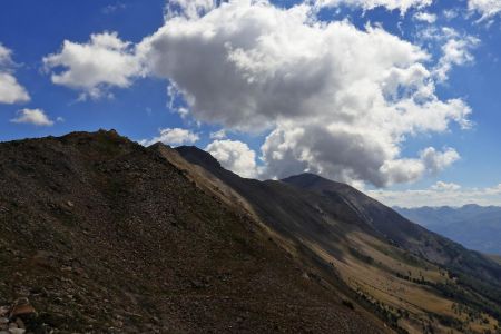 la Grande Épervière apparait