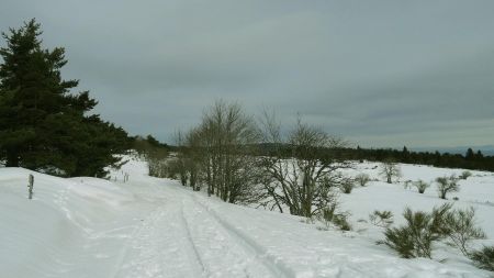 Plateau de Gimel.