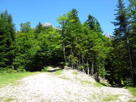 A l’intersection des trois chemins, prendre tout droit pour les Parjis Clos.