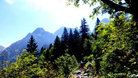 Le sentier en forêt