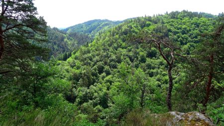 Les gorges de la Dunières.