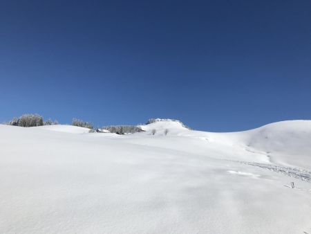 La pointe au loin