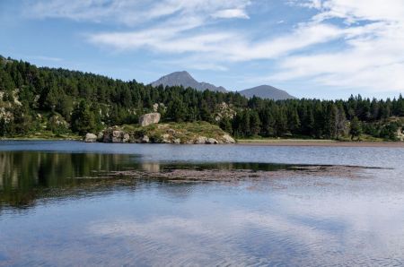 Estany del Viver