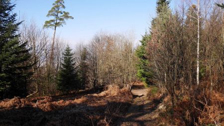 Descente sur le Fußweg.