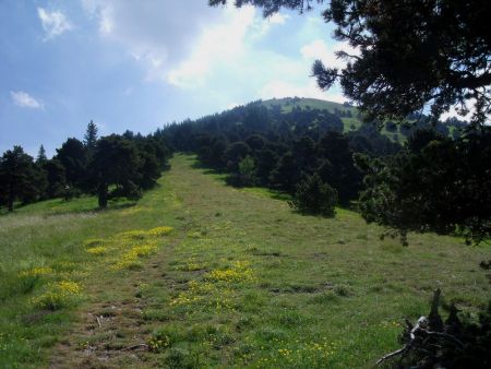 Plein est, pente du Mont Barral